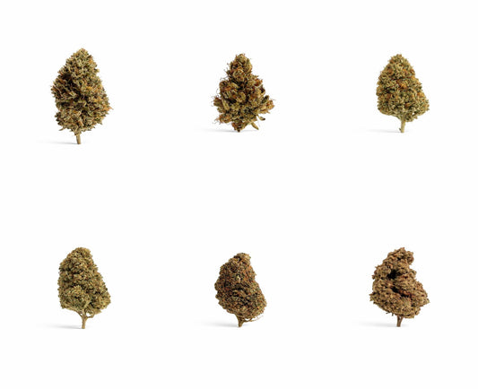 Cómo elegir una flor CBD de calidad: guía clara para comprar bien