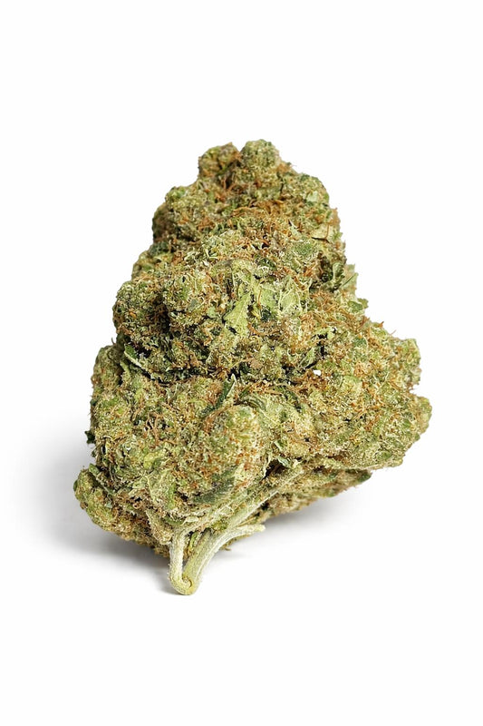 Pack Especial Premium 20g