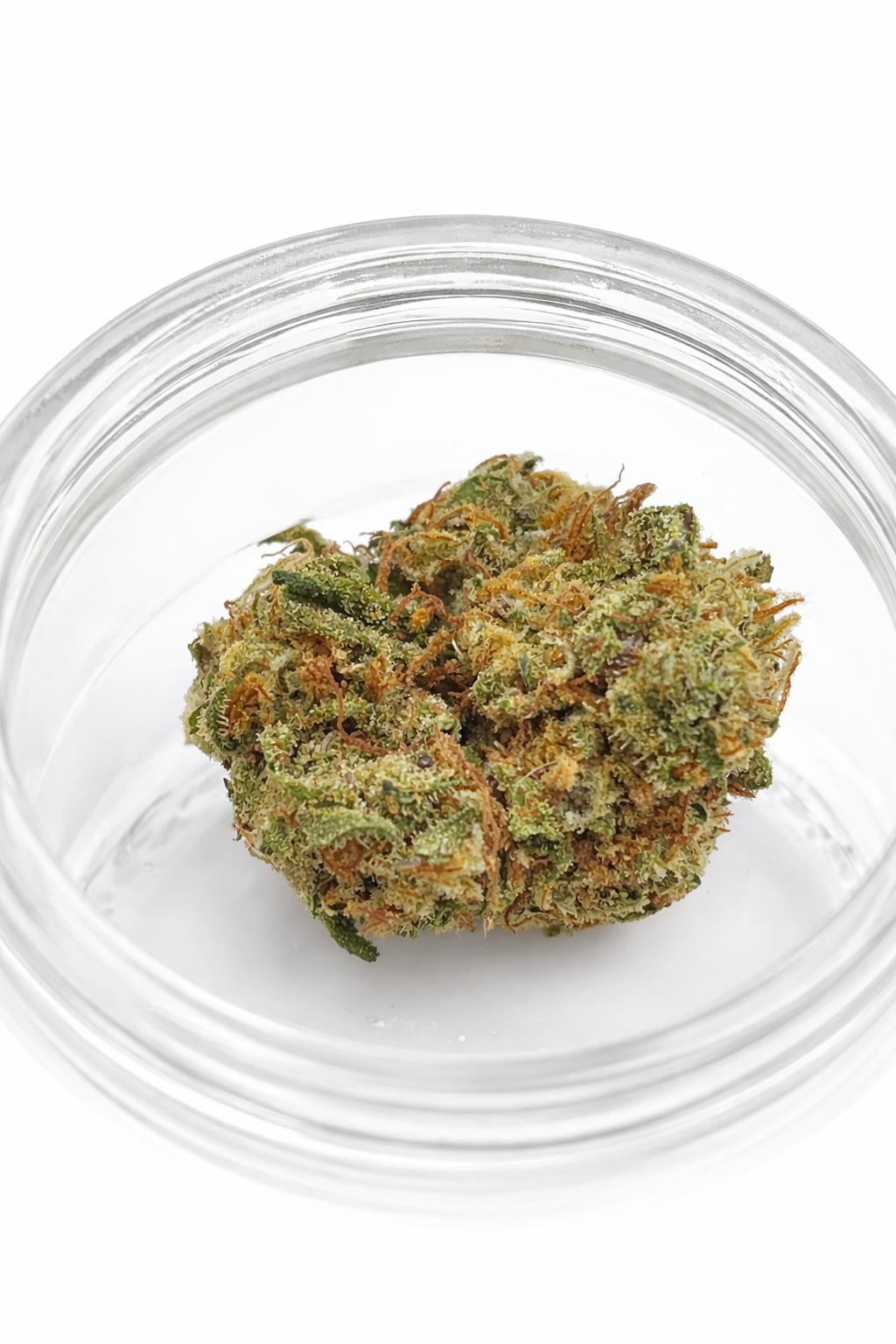 Cheese Glasshouse CBD | Flor CBD